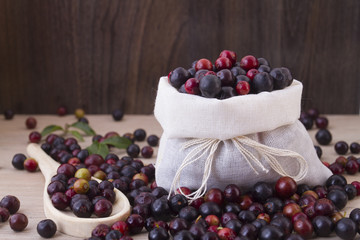 Fruits of wild grapes on different backgrounds (Vaccinium meridionale)