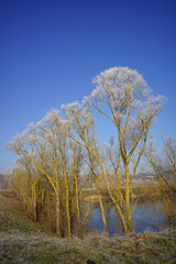 Paysage Campagne 166