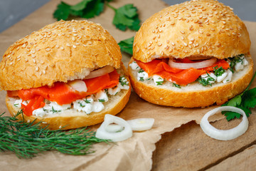 Sandwiches with salmon, cream cheese and vegetables. Love for a healthy food concept