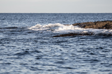 Fototapeta premium Senja