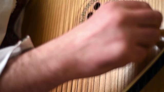 Hand With Artificial Nail Playing On Bandura, Traditional Ukrainian Musical Instrument