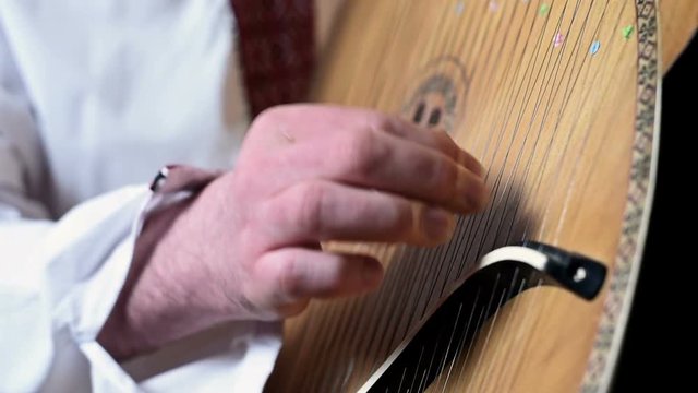 Man Playing On Ukrainian National Musical Instrument - Bandura