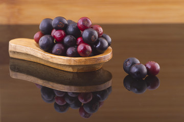 Fruits of wild grapes on different backgrounds (Vaccinium meridionale)