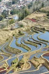 Foto op Canvas rice terraces of yuanyang in yunnan, china © xiaoliangge