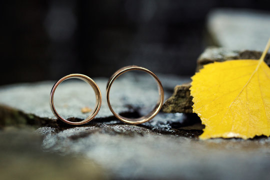 beautiful wedding rings on a stone background,on autumn leaves,bridal accessories, European Wedding, American Wedding