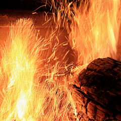 Fire