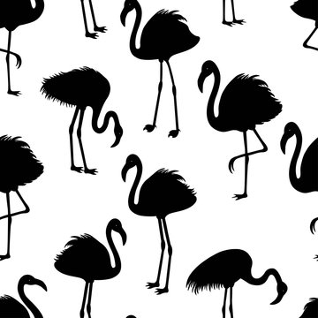 Seamless pattern with flamingos silhouette