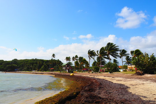 Martinique Pointe Faula