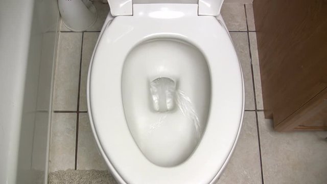 A home toilet is flushed, with great sound and top down view.  Enjoy.
