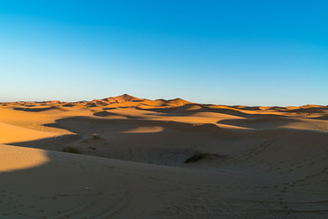 Fototapeta na wymiar sand dune 