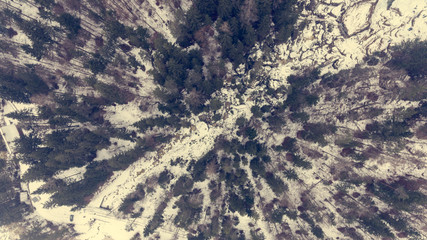 Fototapeta premium Aeriel view of winter forest.
