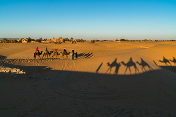 Fototapeta na wymiar shadows of camel riders 