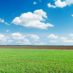 green agricultural field under blue sky with white clouds