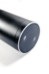 smart home device with voice assistant