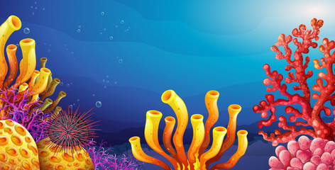 Underwater scene with coral reef and sea urchin © GraphicsRF