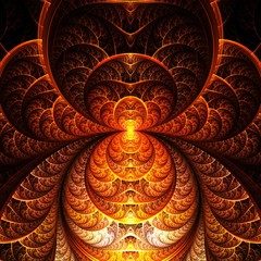 Fractal Pinnate Pattern  -  Fractal Art 