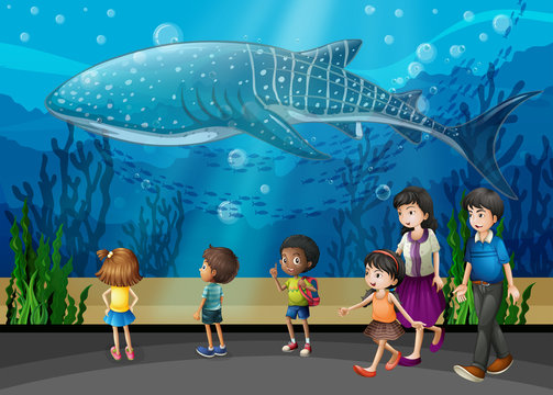 Killer whale in the aquarium