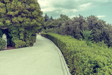 Landscaping english park of the 19th century. Cross processed retro effect