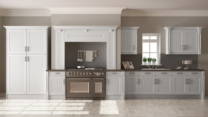 Classic kitchen, scandinavian minimal interior design with woode