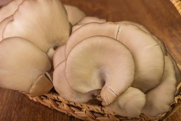 oyster mushrooms in a basket on a background of wood
