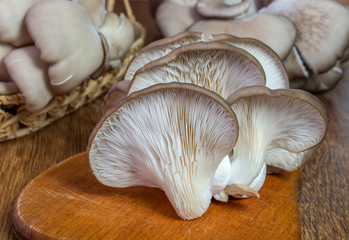 Fresh oyster mushroom on the board, horizontal front view. Healthy oyster mushroom. Basket with mushrooms.