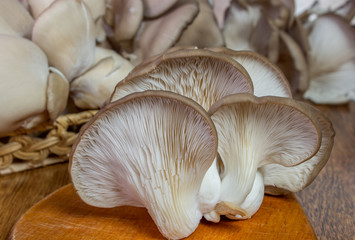 Fresh oyster mushroom on the board, horizontal front view. Healthy oyster mushroom. Basket with mushrooms.