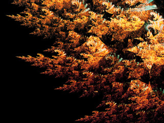 Fractal Branches Isolated on Black  - Fractal Art 