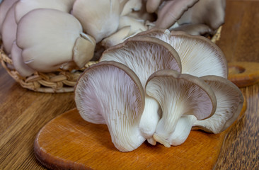 Fresh oyster mushroom on the board, horizontal front view. Healthy oyster mushroom. Basket with mushrooms.