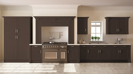 Classic kitchen, scandinavian minimal interior design with woode