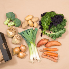 Square Image of Assorted Vegetables and a Cardboard Box