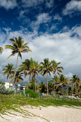 Fototapeta na wymiar Luxury villa on the beach. Reunion island, France