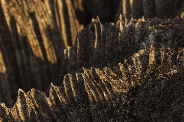 Tsingy de Bemaraha National Park. Unesco World Heritage in Madag