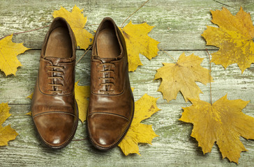 Fototapeta na wymiar Men's classic brown leather shoes on the wood floor with maple leaves. Men Brown Shoes.
