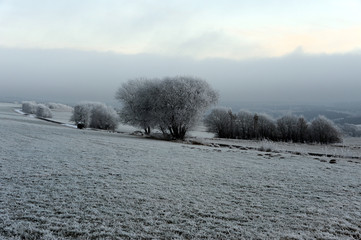 Eisige Landschaft bei Kelberg