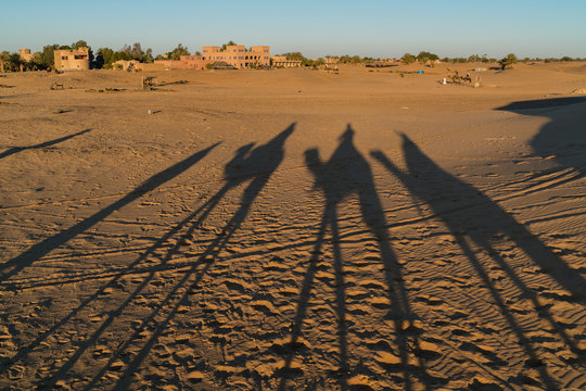 shadows of camel riders
