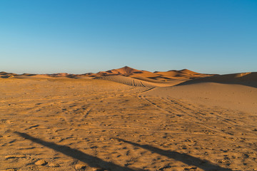 Fototapeta na wymiar sahara desert 