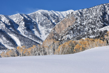 Obraz premium Mount Charleston