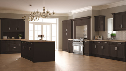 Classic kitchen, scandinavian minimal interior design with woode