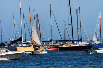 Obraz premium Catboat Sailing Through the Fleet Padnaram Harbor with Boats Dar