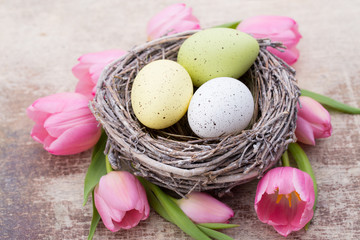 Easter eggs in the nest. Spring flowers tulips.