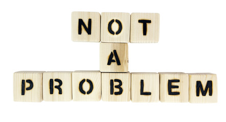 NOT A PROBLEM concept spelled out with wood burned toy blocks. Isolated.