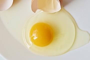 Fruit flower with green kiwi and orange tangerines on the white table