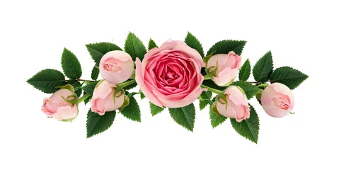 Poster Fleurs Composition de fleurs et de bourgeons roses roses