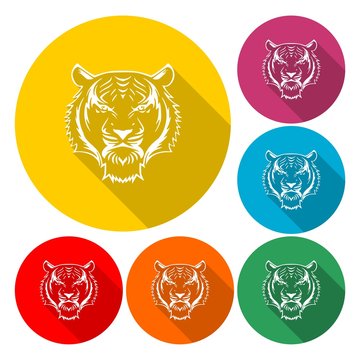 Tiger animal face icon - Illustration