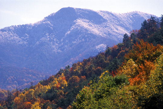 Mountain with fall colors surrounded with snow.