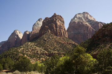 Obraz premium Zion mountains and cliffs with trees growing out of rocks