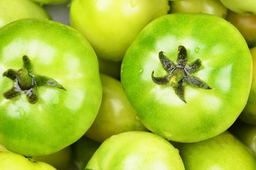 Green tomato, close up