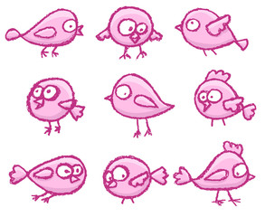 Cute little birds
