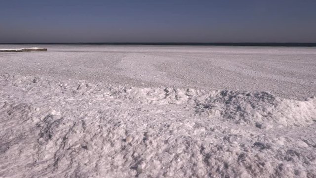 Gulls flying over the frozen sea
