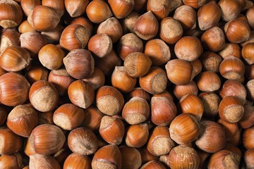 A pile of shelled hazelnuts. Macro shot.